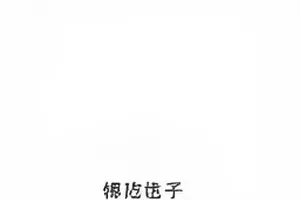 《第三种答案》封面，白板上的三行板书
